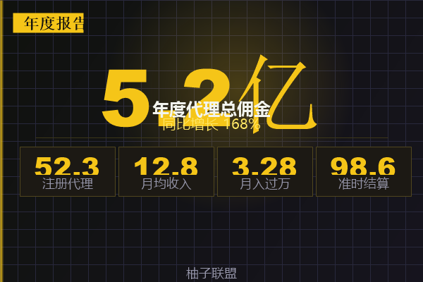 柚子联盟2024年度收益报告